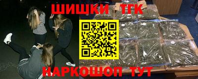 гашик Новозыбков