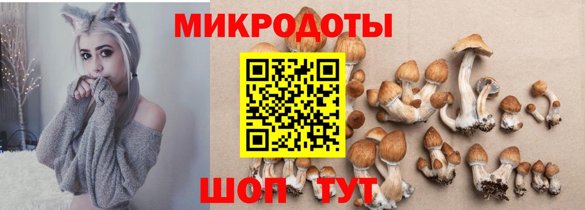 Галлюциногенные грибы прущие грибы Ревда